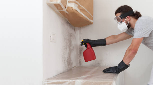 Professional Black Mold Remediation technician working in East Rutherford, NJ