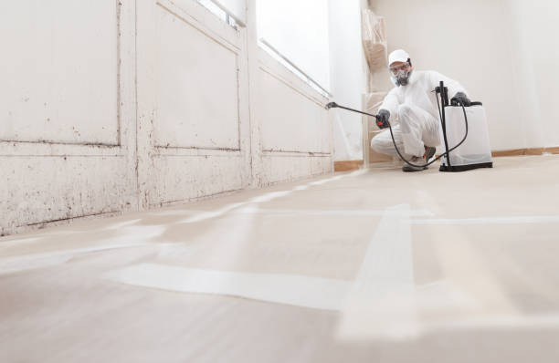 24/7 Emergency Black Mold Remediation experts in East Rutherford, NJ