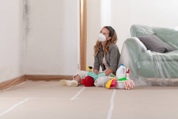 Reliable Black Mold Remediation contractor in East Rutherford, NJ by Mold Remediation HQ